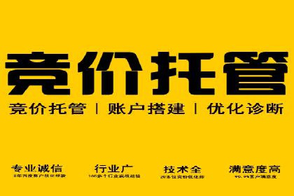 SEM外包助力电商营销案例研究